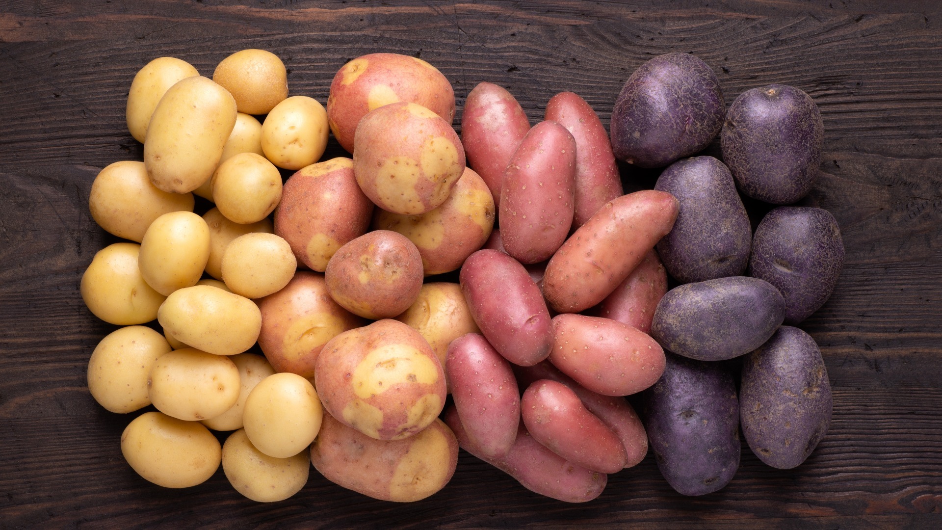 Heap of different types of potatoes on dark wooden rustic table